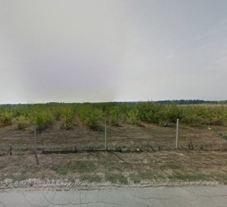 Poljoprivredno zemljište, Antunovac, 34330 Velika