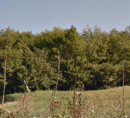 Građevinsko zemljište, Ježenj, 52000 Pazin