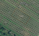 Poljoprivredno zemljište br. 1, Korija, 33000 Virovitica