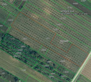 Poljoprivredno zemljište br. 2, Korija, 33000 Virovitica