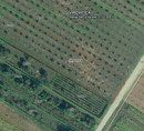 Poljoprivredno zemljište br. 3, Korija, 33000 Virovitica