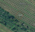 Poljoprivredno zemljište br. 4, Korija, 33000 Virovitica