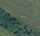 Poljoprivredno zemljište br. 4, Korija, 33000 Virovitica