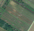 Poljoprivredno zemljište br. 6, Korija, 33000 Virovitica