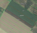 Poljoprivredno zemljište br. 8, Korija, 33000 Virovitica