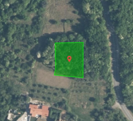 Šuma, Na Logu, 6280 Ankaran