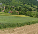 Poljoprivredno zemljište - u udjelu ½, Kamenica, 48269 Kalnik