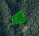 Šuma, poljoprivredno zemljište - u udjelu ⅔, Jelovec pri Makolah, 2321 Makole