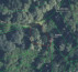 Šuma, Novakovec, 40318 Dekanovec