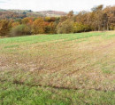 Poljoprivredno zemljište br. 1 - u udjelu ½, Gerlinci, 9261 Cankova
