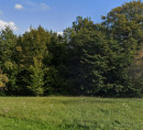 Šuma, poljoprivredno zemljište - u udjelu ½, Gerlinci, 9261 Cankova