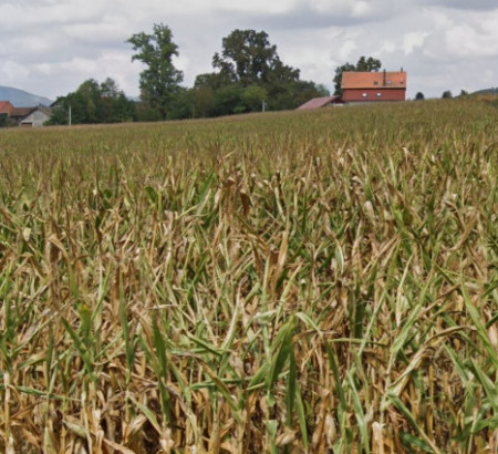 Građevinsko zemljište, Movrač, 49294 Kraljevec na Sutli