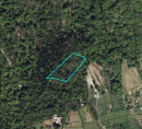 Šuma - u udjelu ½, Radovlja, 8220 Šmarješke Toplice