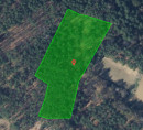 Šuma br. 1, Neradnovci, 9203 Petrovci