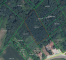 Šuma, Bjelovarska ulica, Rakitnica, 48350 Đurđevac