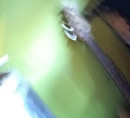 Gitara