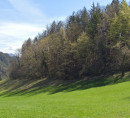 Poljoprivredno zemljište, šuma - u udjelu ½, Ržiše, 1413 Čemšenik
