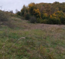 Poljoprivredna zemljišta, šuma - u udjelu 1/7, Jelovec pri Makolah, 2321 Makole