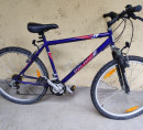 Muški brdski bicikl Balance 1.0, brdski bicikl GT Aggressor