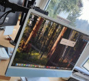 Monitor Apple