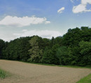 Šuma - u udjelu ½, Grajenščak, 2250 Ptuj