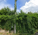 Građevinsko zemljište, Kontrada, 52448 Sveti Lovreč