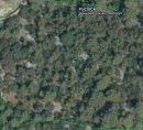 Šuma - u udjelu ½, Pučišća, 21412 Pučišća, Otok Brač