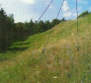 Poljoprivredno zemljište, šuma, Golo, 1292 Ig
