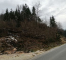 Šuma, građevinsko zemljište, Vrhe, 2380 Slovenj Gradec