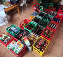 Zalihe: Alkoholna i bezalkoholna pića