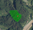 Šuma - u udjelu ½, Kamenik, 3240 Šmarje pri Jelšah