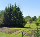 Građevinsko zemljište, Dornavska cesta, 2250 Ptuj