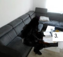Kutna sjedeća garnitura (tkanina)