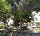 Stan, Ulica Alojzija Stepinca, 21000 Split