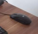 Miš HP