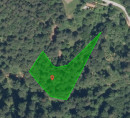 Šuma - u udjelu ½, Lobnica, 2342 Ruše