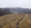 Poljoprivredno zemljište - u udjelu ½, Godemarci, 9243 Mala Nedelja