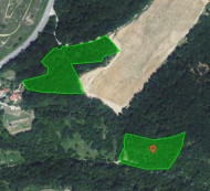 Poljoprivredno zemljište, šuma, Grintovec, 6274 Šmarje