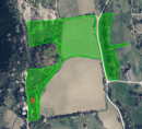 Poljoprivredno zemljište, šuma, Vajgen, 2221 Jarenina