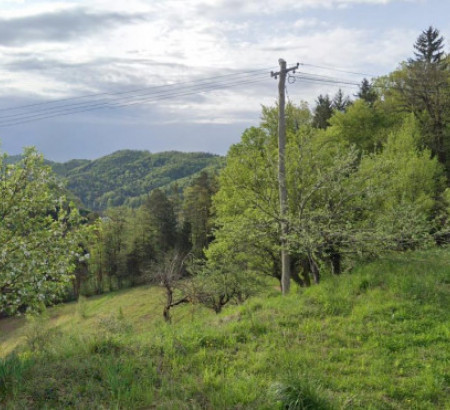 Poljoprivredno zemljište, šuma, Rove, 3213 Frankolovo