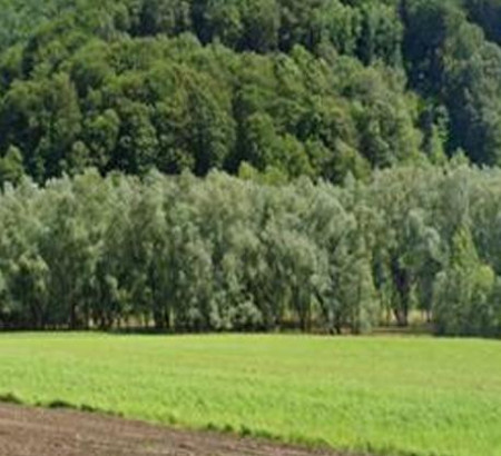 Poljoprivredno zemljište, Globoko ob Dravinji, 2321 Makole