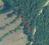 Šuma br. 2, Seljaci, 52420 Buzet