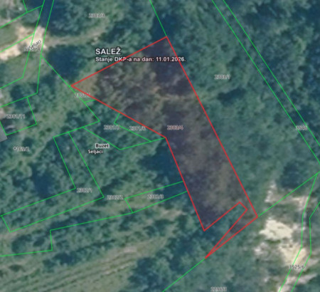 Šuma br. 3, Seljaci, 52420 Buzet