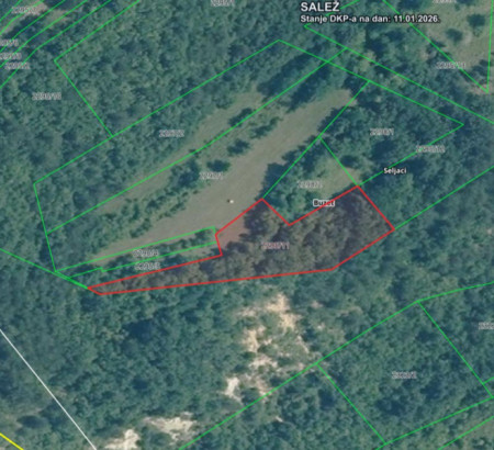 Šuma br. 4, Seljaci, 52420 Buzet