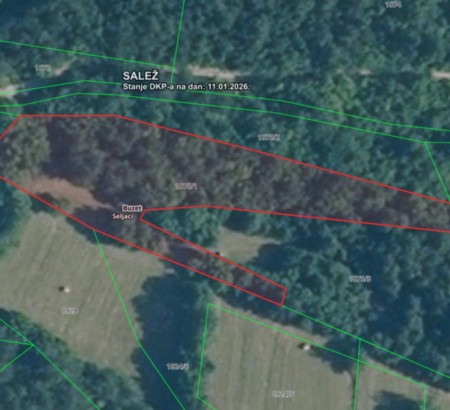 Šuma br. 7, Seljaci, 52420 Buzet