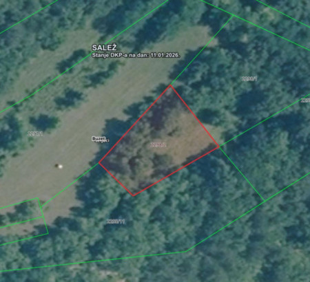 Šuma br. 8, Seljaci, 52420 Buzet