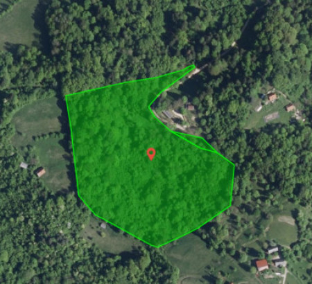 Šuma - u udjelu 63/96, Plazovje, 3270 Laško