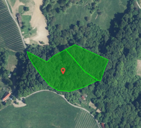 Šuma, Ciringa, 2201 Zgornja Kungota