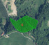 Šuma, Ciringa, 2201 Zgornja Kungota