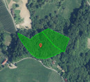 Šuma, Ciringa, 2201 Zgornja Kungota